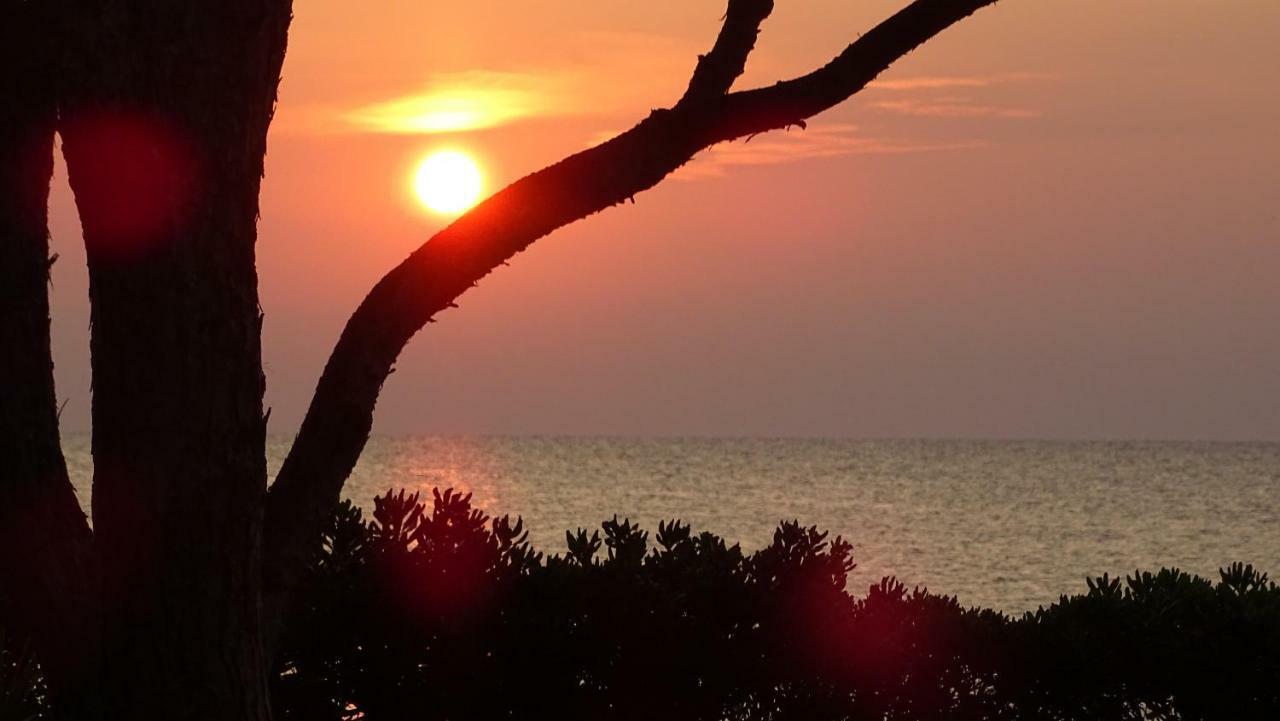 Budoni - The House Of The Rising Sun Εξωτερικό φωτογραφία